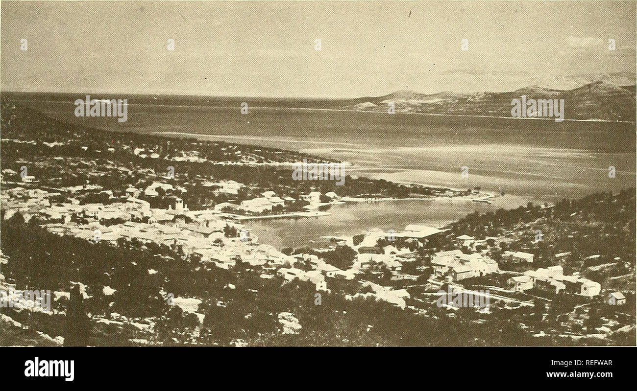 . Commercial fisheries review. Fisheries; Fish trade. 39. Fig, 3 - The ...