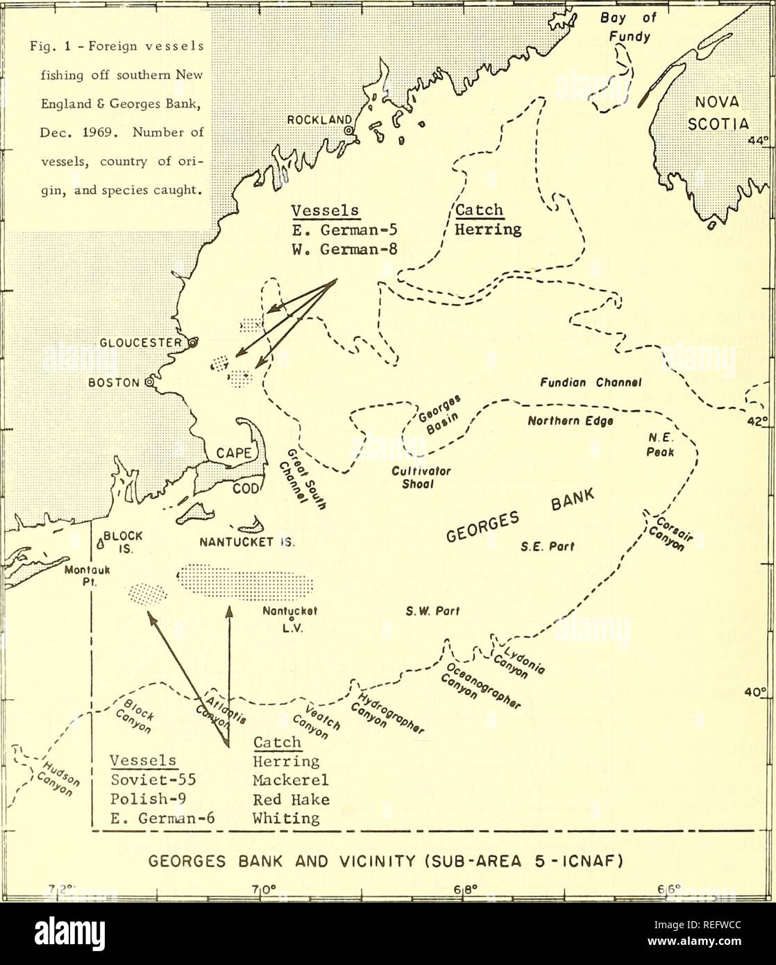 . Commercial fisheries review. Fisheries; Fish trade. FOREIGN FISHING OFF U.S., DECEMBER 1969 NORTHWEST ATLANTIC (Fig. 1) InDecember 1969, 80 vessels were sighted (105 in Nov. 1969; 36 in Dec. 1968). USSR: 36 medium side trawlers, 11 factory stern trawlers, 1 factory base ship, 4 re- frigerated carriers, 2 tankers, 1 tug. Most were along 30-fathom curve south of Block Island and Nantucket, a few on Georges Bank. (50 in Nov. 1969; 29 in Dec. 1968). Poland: 6 stern and 3 side trawlers (17 in Nov. 1969; 6 in Dec. 1968). West Germany: 8 freezer stern trawlers (4 in Nov. 1969; none in Dec. 1968). G Stock Photo