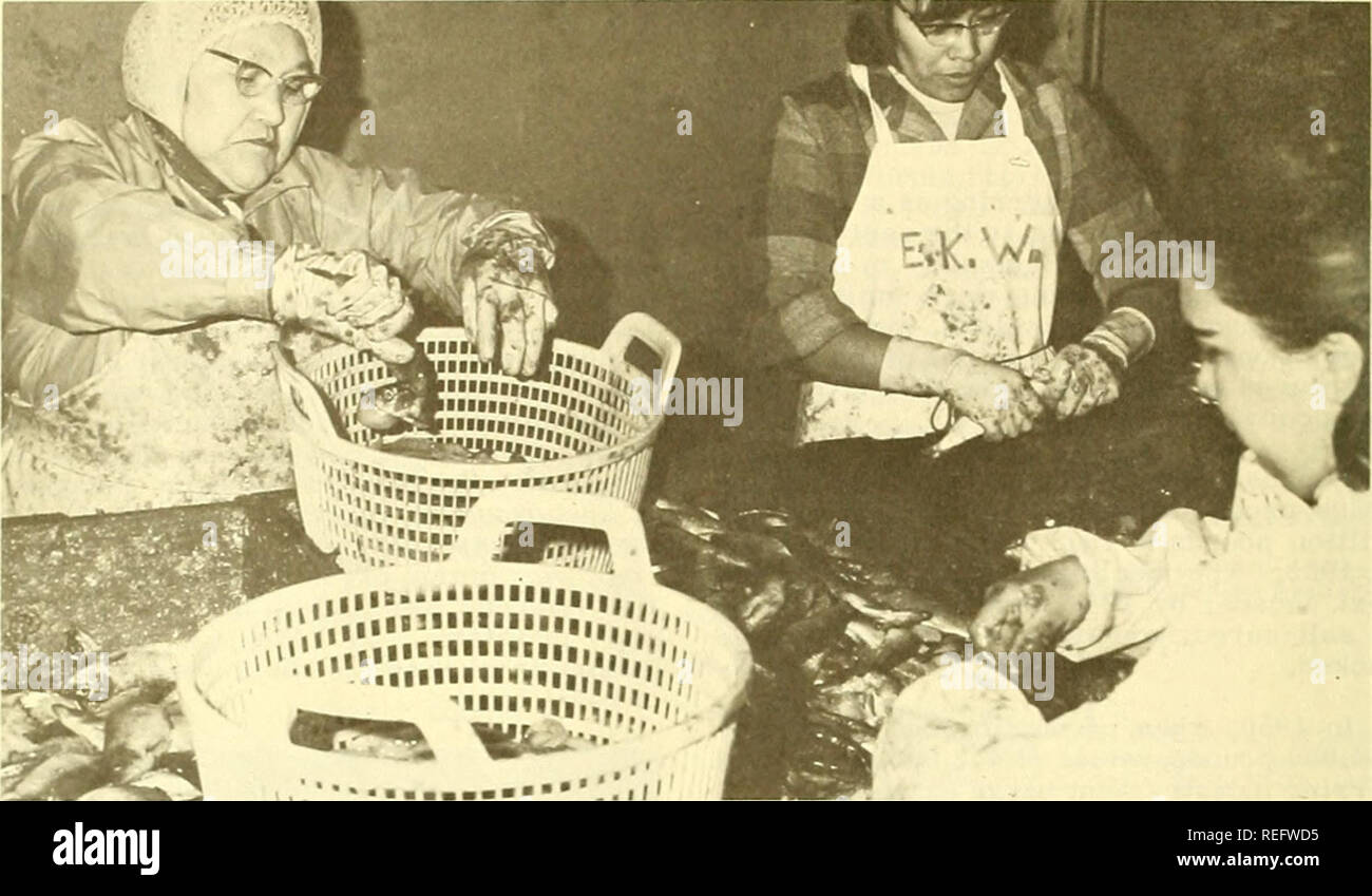 Just landed fish hi-res stock photography and images - Alamy