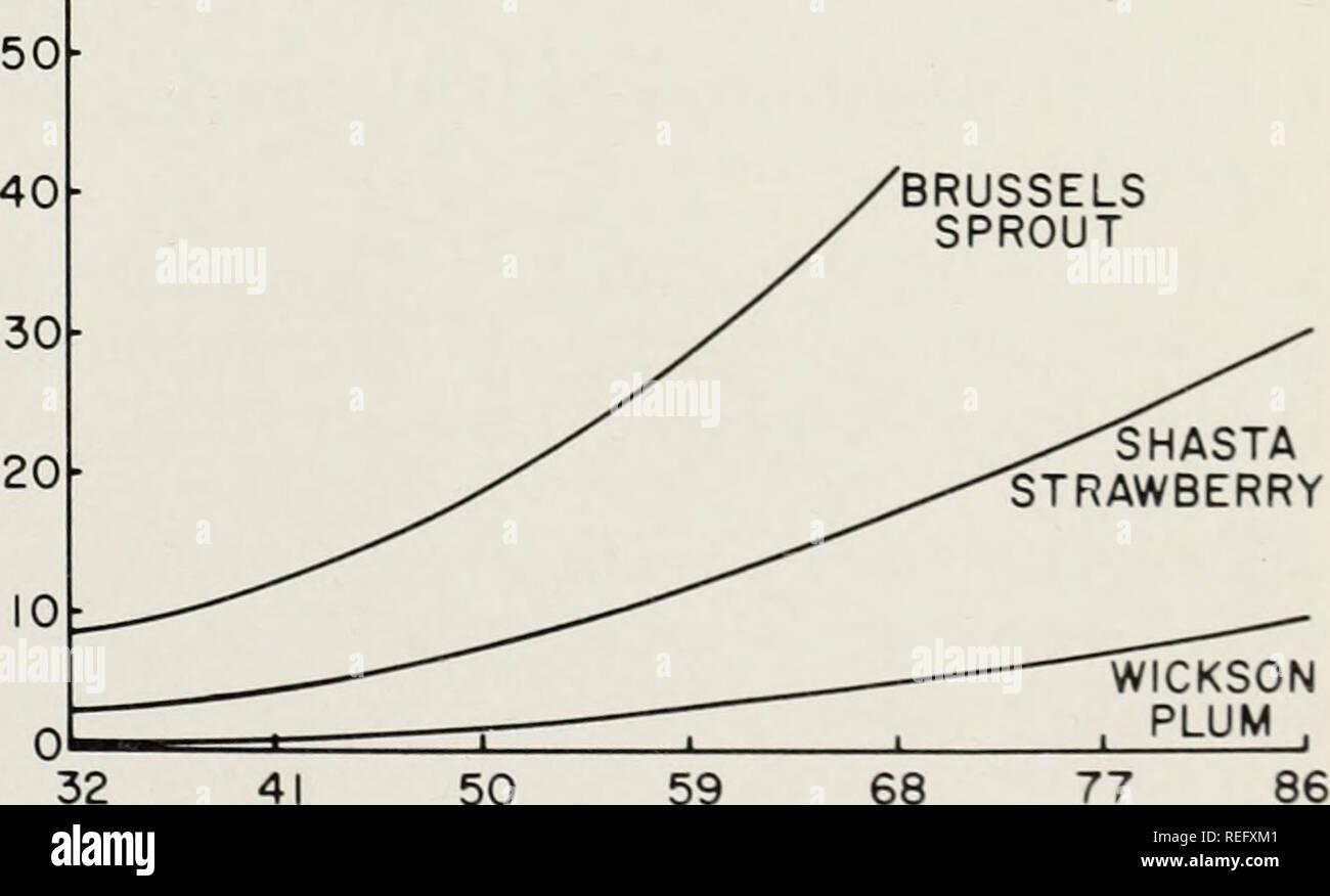 Fruit and vegetables examples hires stock photography and images Alamy
