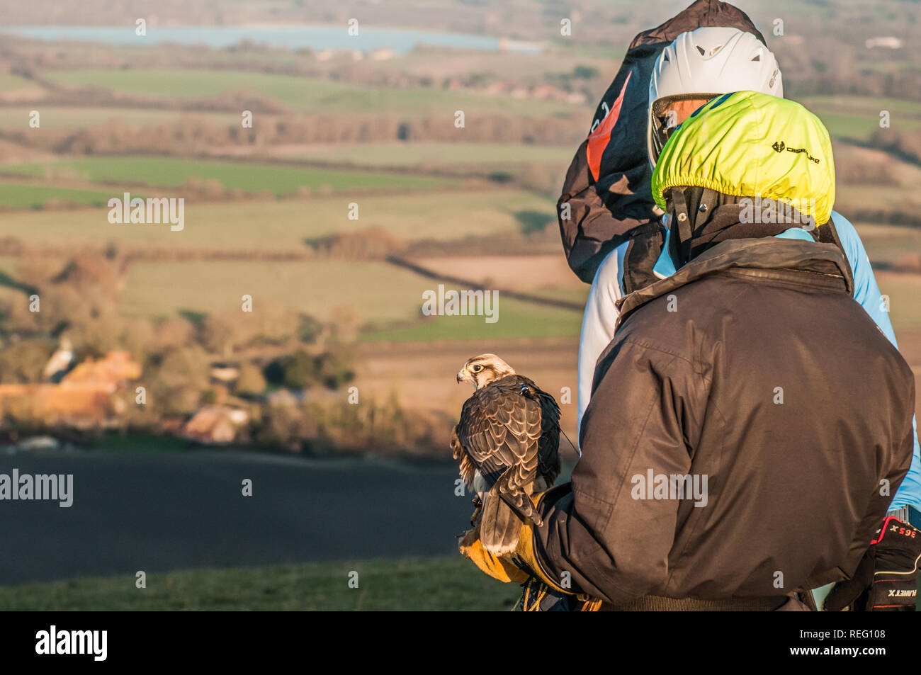 Bo-Peep, Alciston, Lewes, Sussex, UK. 20th January 2019.  Magnificent Falcon 'Safire', overlooking the Sussex countryside, with owner Tiger Cox  & pilot Boris Tyszko who was also joined by Safire in the air. Stock Photo