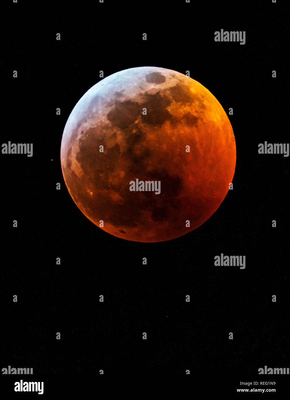 Salida, USA. 20th Jan, 2019. Lunar eclipse, blood red full wolf supermoon over Rocky Mountains; Salida; Colorado; USA Credit: H. Mark Weidman Photography/Alamy Live News Stock Photo