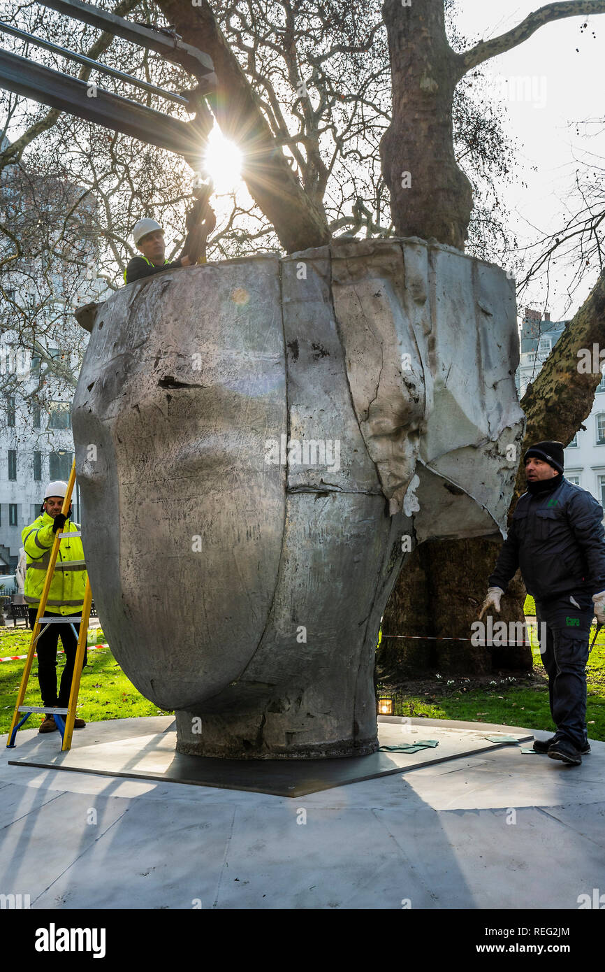 London, UK. 21st Januay 2019. The head is installed on the plinth - Butterflies by Spanish artist Manolo Valdés launched by Opera Gallery. The sculpture was installed at Berkeley Square in London today, and is one of the eight sculptures included in City of London’s Sculpture in the City initiative that aims to turn the city into an urban gallery space. Weighing over five tonnes, the giant sculpture will be residing at its Mayfair location for six months. Credit: Guy Bell/Alamy Live News Stock Photo