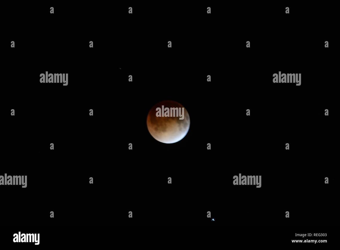 MIAMI BEACH, FL - JANUARY 21:  Super Blood Wolf Moon has risen in Florida as a total lunar eclipse began on Sunday, January 20, 2019. The January 21 total lunar eclipse will be the last one until May 2021, and the last one visible from the United States until 2022 on Januay 21, 2019 in Miami Beach, Florida  People:  Super Blood Wolf Moon Stock Photo