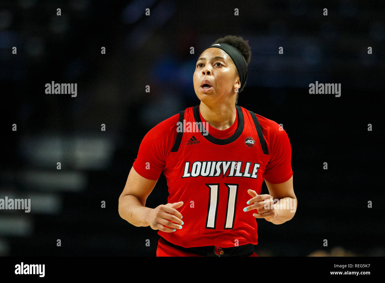 Winston-Salem, NC, USA. 20th Jan, 2019. Louisville Cardinals guard Arica Carter (11) in the ACC Womens Basketball matchup at LJVM Coliseum in Winston-Salem, NC. (Scott Kinser/Cal Sport Media) Credit: csm/Alamy Live News Stock Photo