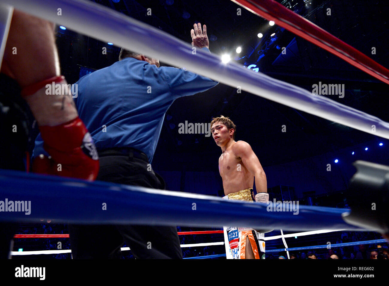 Wbo super featherweight fight hires stock photography and images Alamy