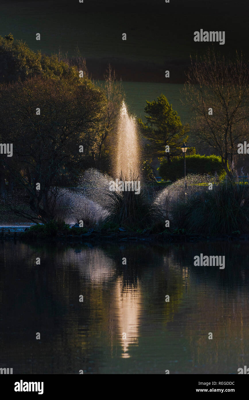 Evening light over the fountain in Trenance Boating lake in Trenance Park in Newquay Cornwall. Stock Photo