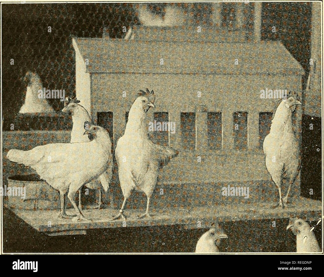 Intestinal Wind High Resolution Stock Photography and Images Alamy