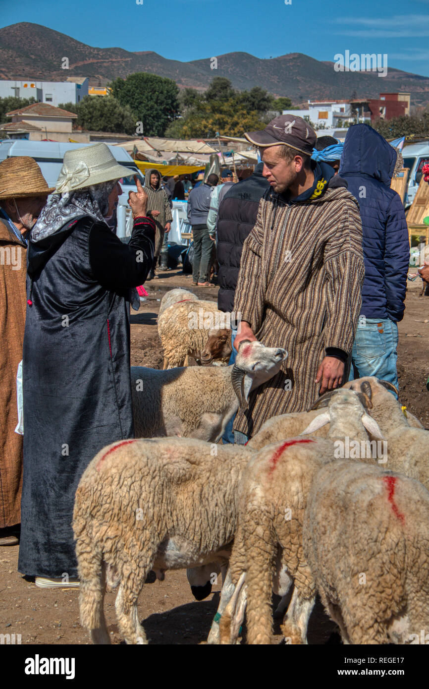 Oued Laou, Chefchaouen, Morocco - November 03, 2018: A man negotiates with a woman the price of his sheep in the market that is celebrated on Saturday Stock Photo