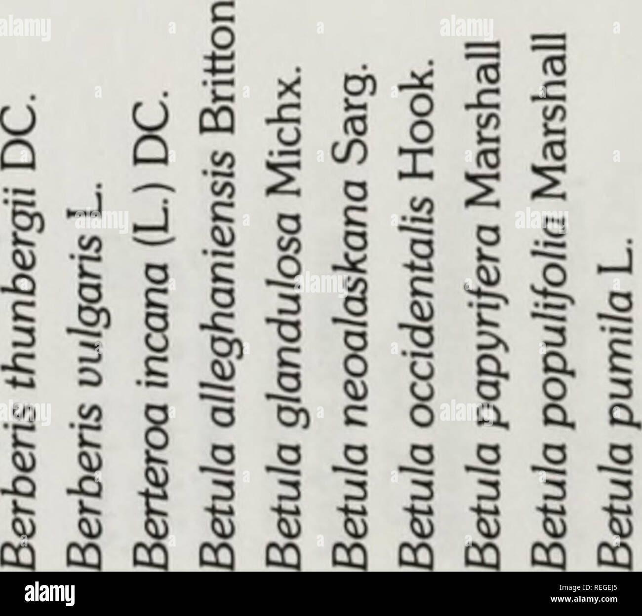 Common And Scientific Names Of Weeds In Canada Noms Populaires Et Scientifiques Des Plantes Nuisibles Du Canada Weeds Weeds A Amp A Ft Ft Gt Cq Cq Ft Ft O 0 A