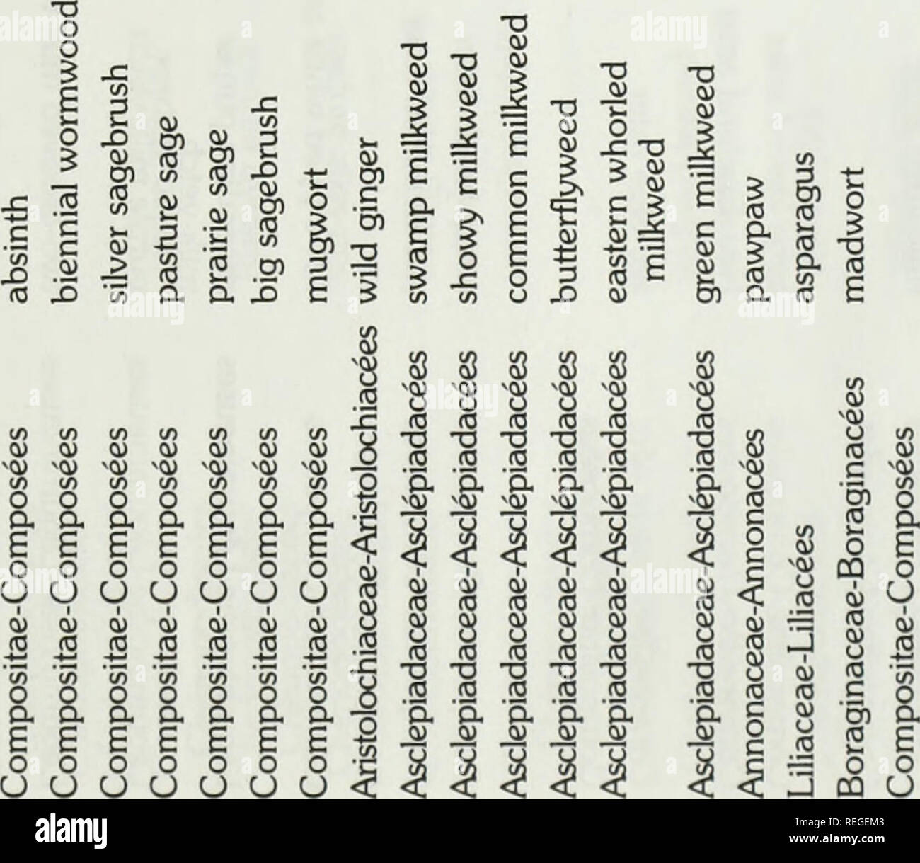 Common And Scientific Names Of Weeds In Canada Noms Populaires Et Scientifiques Des Plantes Nuisibles Du Canada Weeds Weeds 3 X Amp I S 9 A Z Dc Ffluu H F