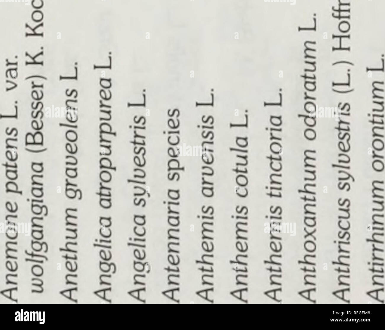 Common And Scientific Names Of Weeds In Canada Noms Populaires Et Scientifiques Des Plantes Nuisibles Du Canada Weeds Weeds A O X O O Uu V O Or O Uj