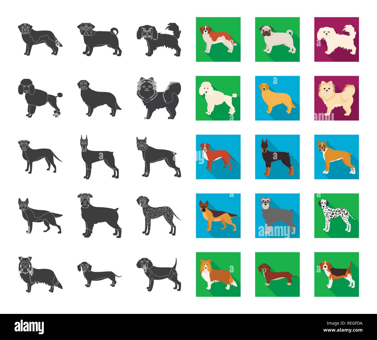 Dog breeds black,flat icons in set collection for design.Dog pet vector symbol stock  illustration. Stock Vector