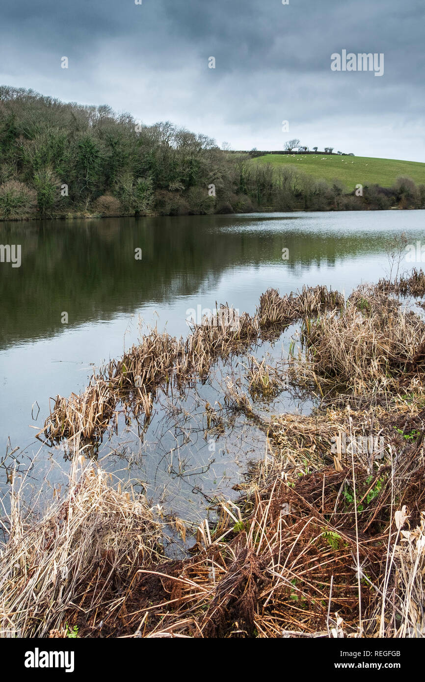 Porth Reservoir in Cornwall. Stock Photo