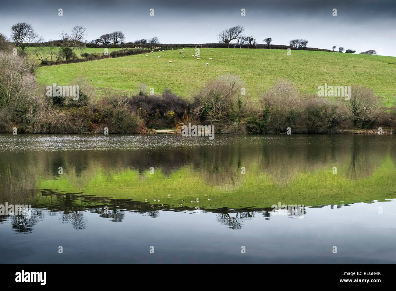 Reflection in the still water in Porth reservoir in Cornwall. Stock Photo