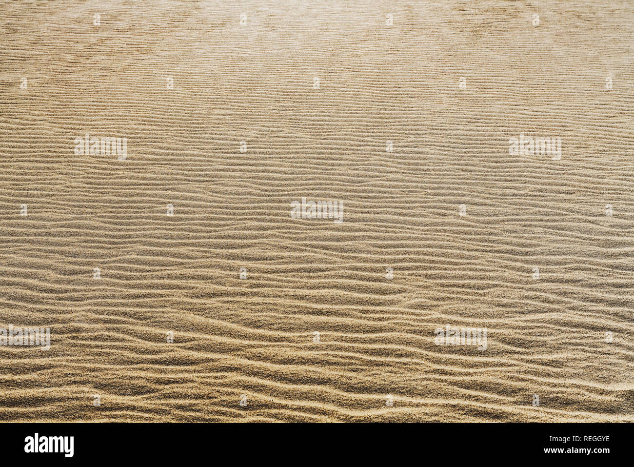 Lonely sandy beach on the Baltic Sea near Kolobrzeg. The wind has blown the sand into small waves, Kolobrzeg, West Pomeranian, Poland, Europe Stock Photo
