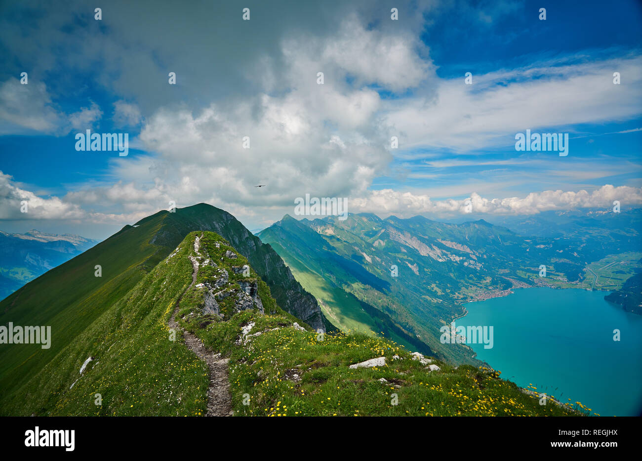 Landscape from Swiss Alps with green nature and Lake Brienz ...