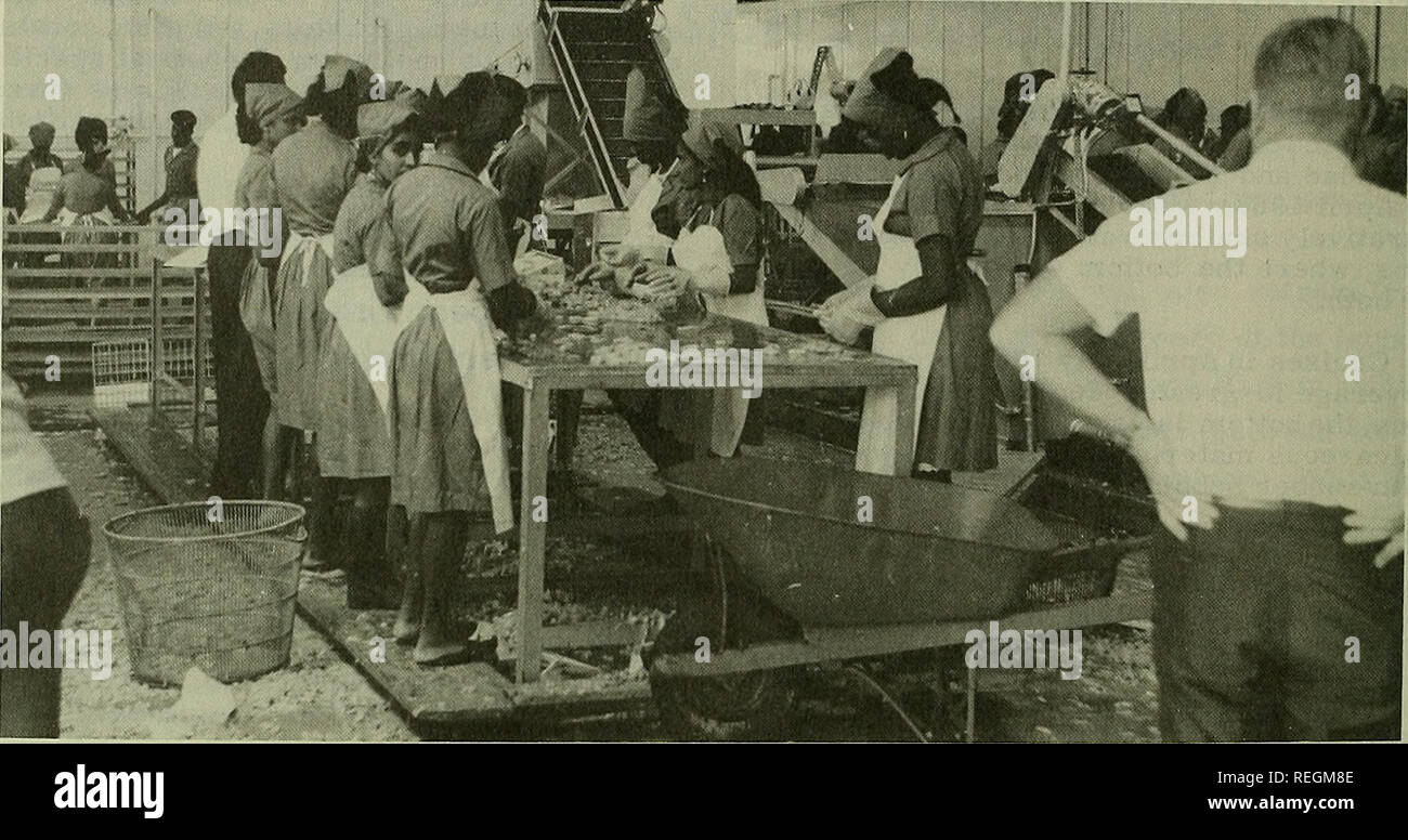 American seafoods hires stock photography and images Alamy