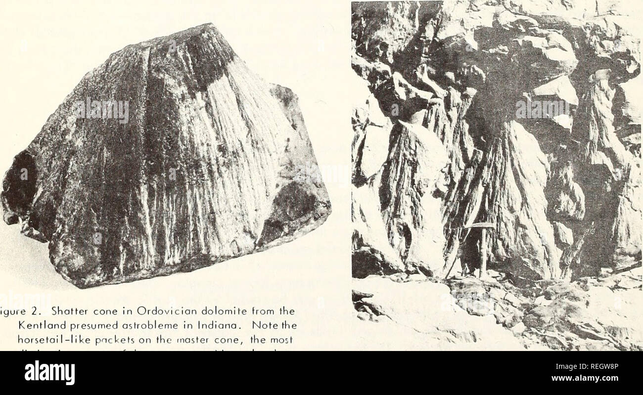 . Collected reprints, Essa Institute for Oceanography. Oceanography Periodicals.. i.. Figure 3. A shatter dolomite slab fiom the Sierra Madera structure, a presumed astrobleme in Texas. Note the common orientation of the cones and the horse- tall effect which is the hallmark of shatter cones. Figure 1 . A large block of shatter-coned Knox dolomite from the center of the Wells Creek crypto-exploslon structure in Tennessee. Note common orientation of the cone axes.. Figure 2. Shatter cone in Ordovicion dolomite from the Kentlond presumed astrobleme in Indiana. Note the horsetail-like pnckets on  Stock Photo