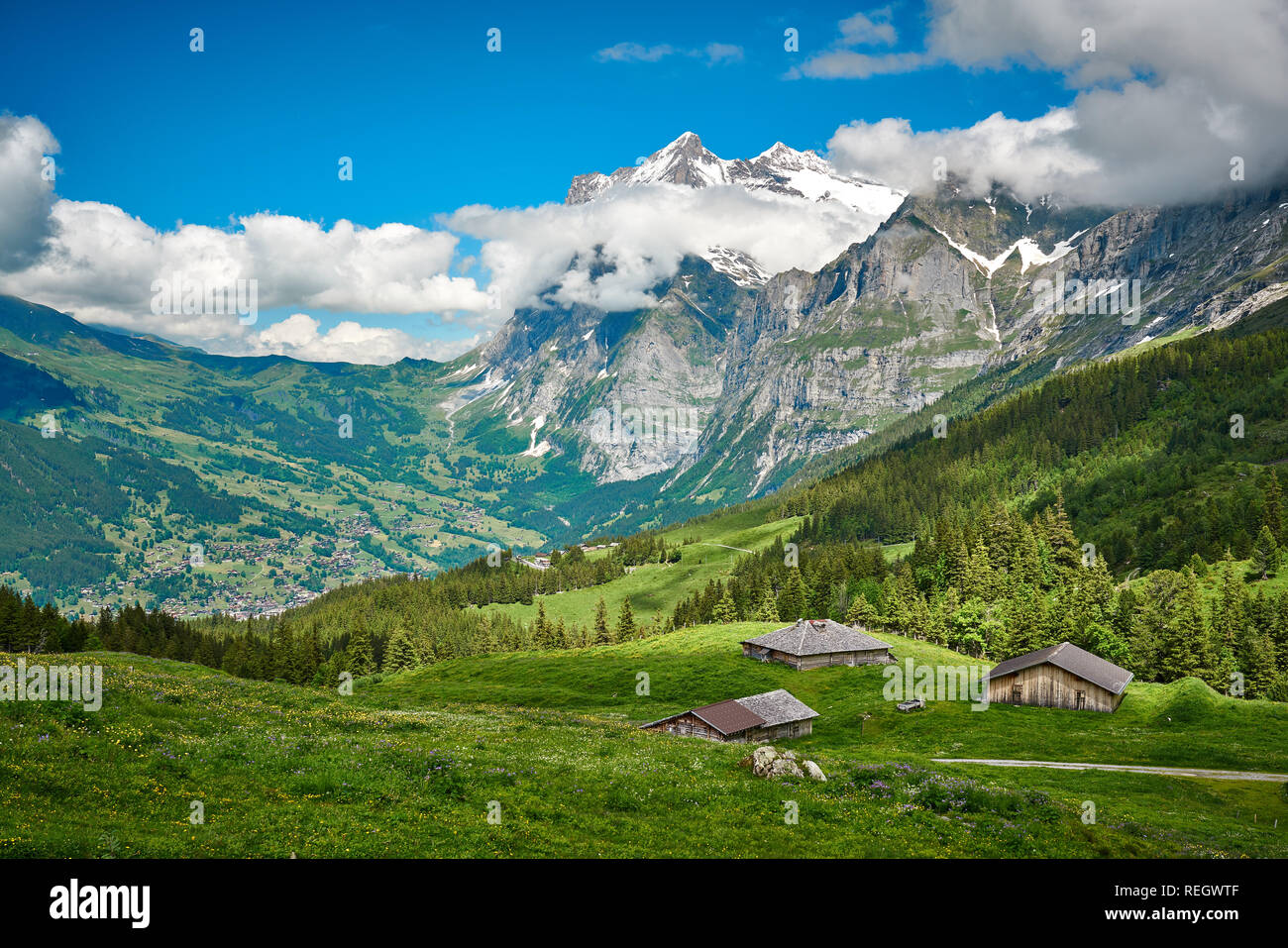 Swiss Alps landscape with meadow, snowy mountains and green nature ...