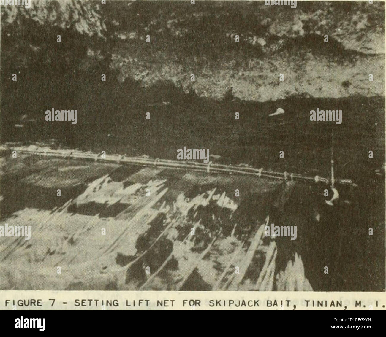 . Commercial fisheries review. Fisheries; Fish trade. November 1950