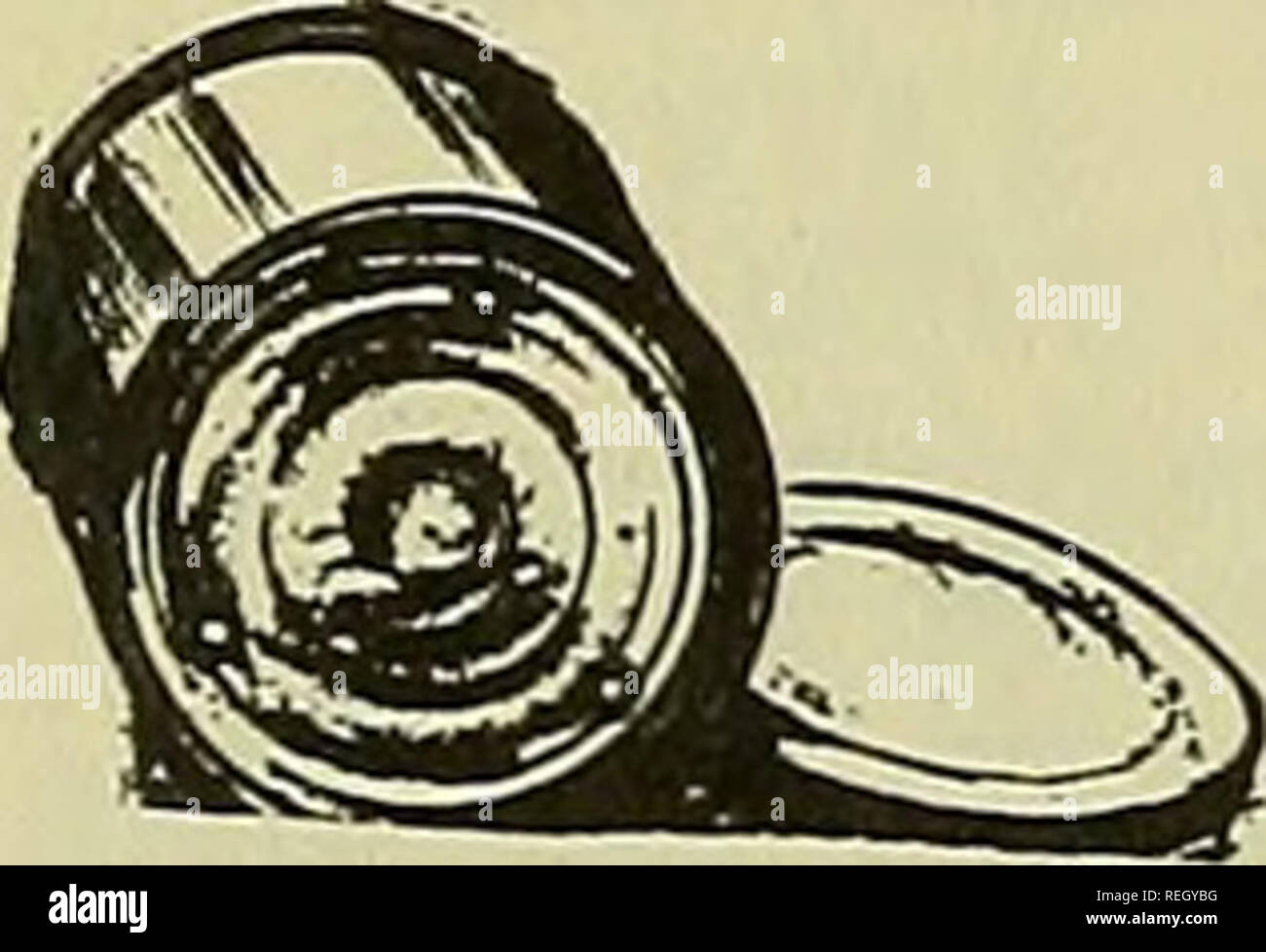 California eureka oysters hires stock photography and images Alamy