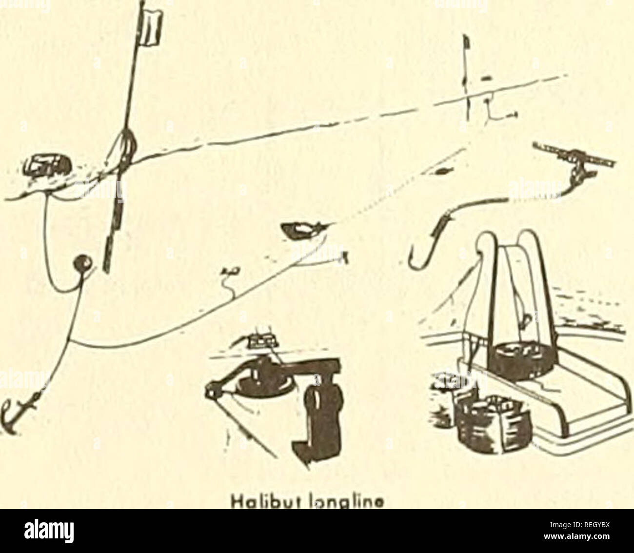 longline fishing gear