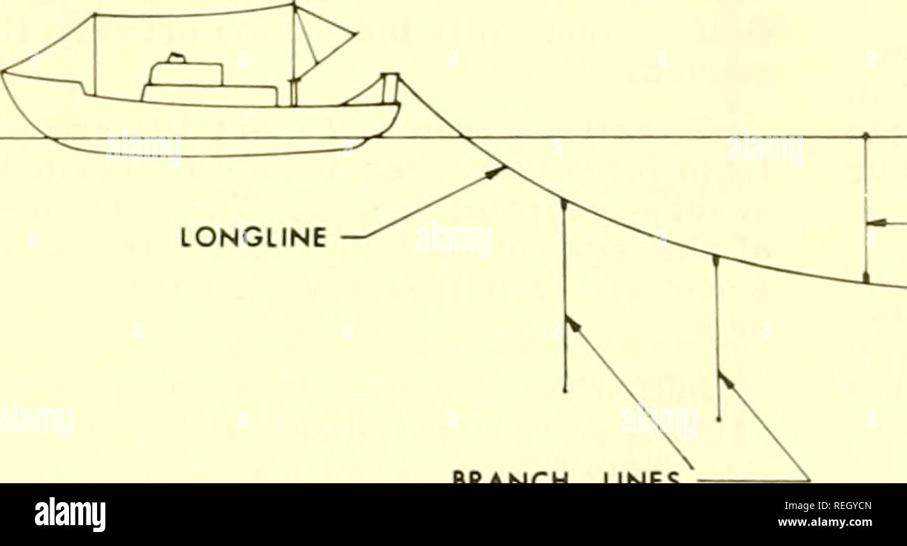 Commercial Fisheries Review Fisheries Fish Trade Quick Release Branchune Clip Developed For Longuning Michael G Corbett The Longline Auto Clip An Improved Clip Has Been Developed For The Automatic Or Man Ual Commercial Fisheries Review Fisheries Fish Trade Quick Release Branchune Clip Developed For Longuning Michael G Corbett The Longline Auto Clip An Improved Clip Has Been Developed For The Automatic Or Man Ual