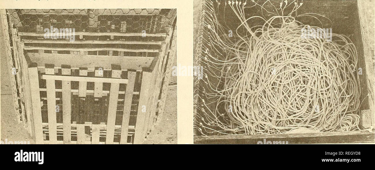 Commercial fisheries review. Fisheries; Fish trade. Fig. 11 - Six hundred  yards length by four yards length by four yards depth gill net used by  fishermen at Puerto Real, Fajardo. Trot