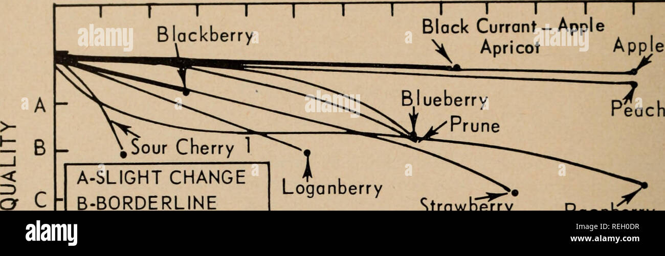 . Commercial canning of fruit pie fillings / by C.C. Strachan [et. al.]. Fruit; Canned foods