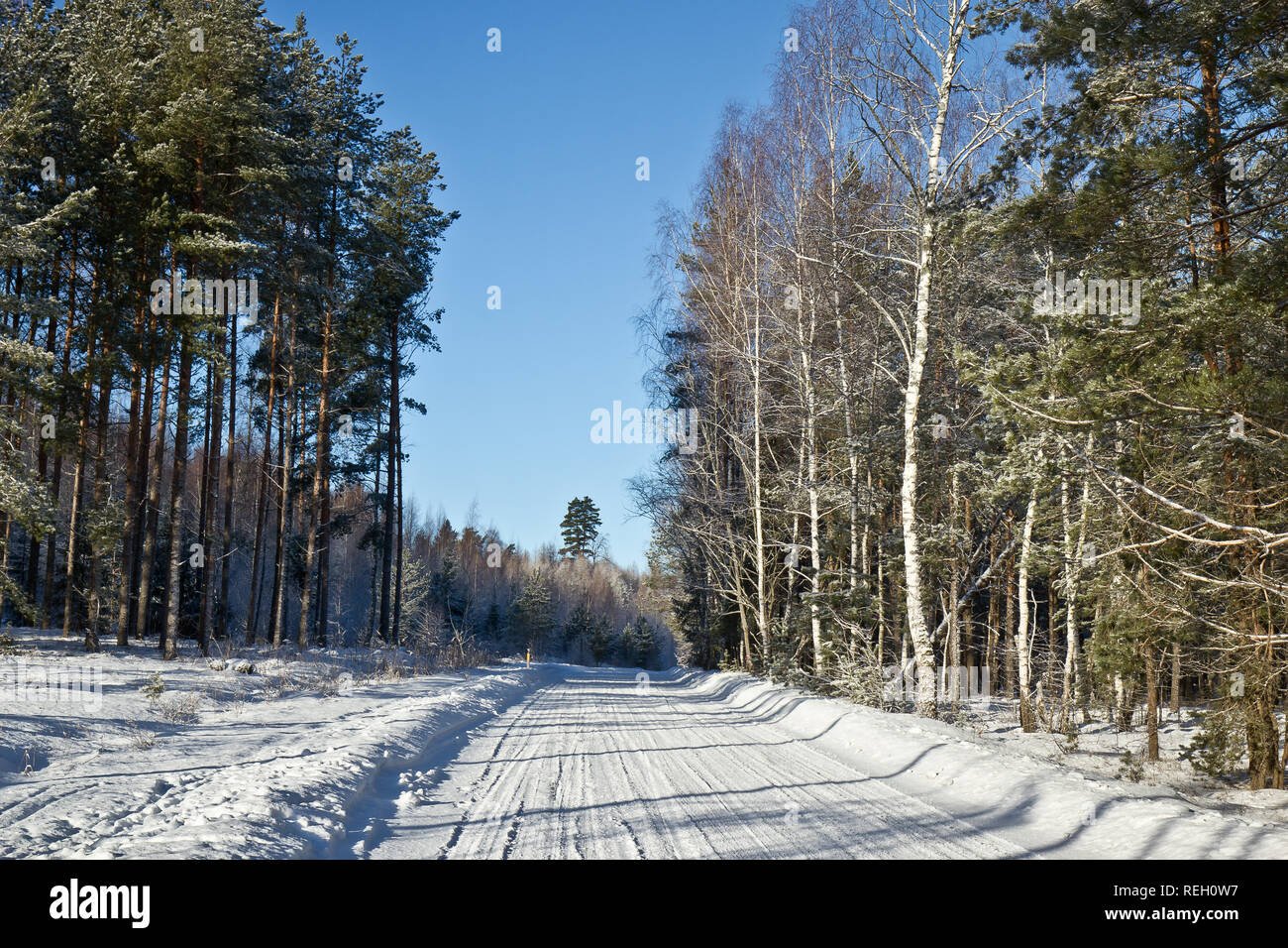 Sunny winter day near Ogre, Latvia Stock Photo