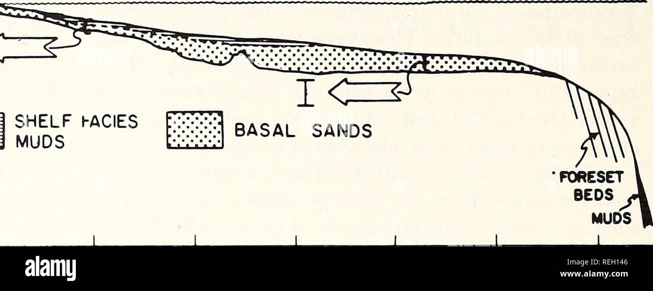 . Collected reprints / Atlantic Oceanographic and Meteorological Laboratories [and] Pacific Oceanographic Laboratories. Oceanography Periodicals.. 0 25 50 Â£ 75 o k 100 ^&gt; J[[ I C=3 MODERN ALLUVIUM  L SHELF hACIES MUDS X MODELS OF SHELF SEDIMENTATION 313. BASAL SANDS  L 20 15 10 0 5 NAUTICAL 10 MILES 15 20 25 30 RELATIVE SEA LEVEL FALLING SEA LEVEL OR EMERGENCE RISING SEA LEVEL OR SUBMERGENCE RAPIO SLOW STABLE SLOW RAPID o S i ' 1   I  1 l 4 Z g O -J ( l 1  irs i r h- 2 i id O I (9 X  T i i â â¢ * FIGURE 2. Above: Diagrammatic section off the Costa de Naya- rit, Mexico. See Fig. 10  Stock Photo