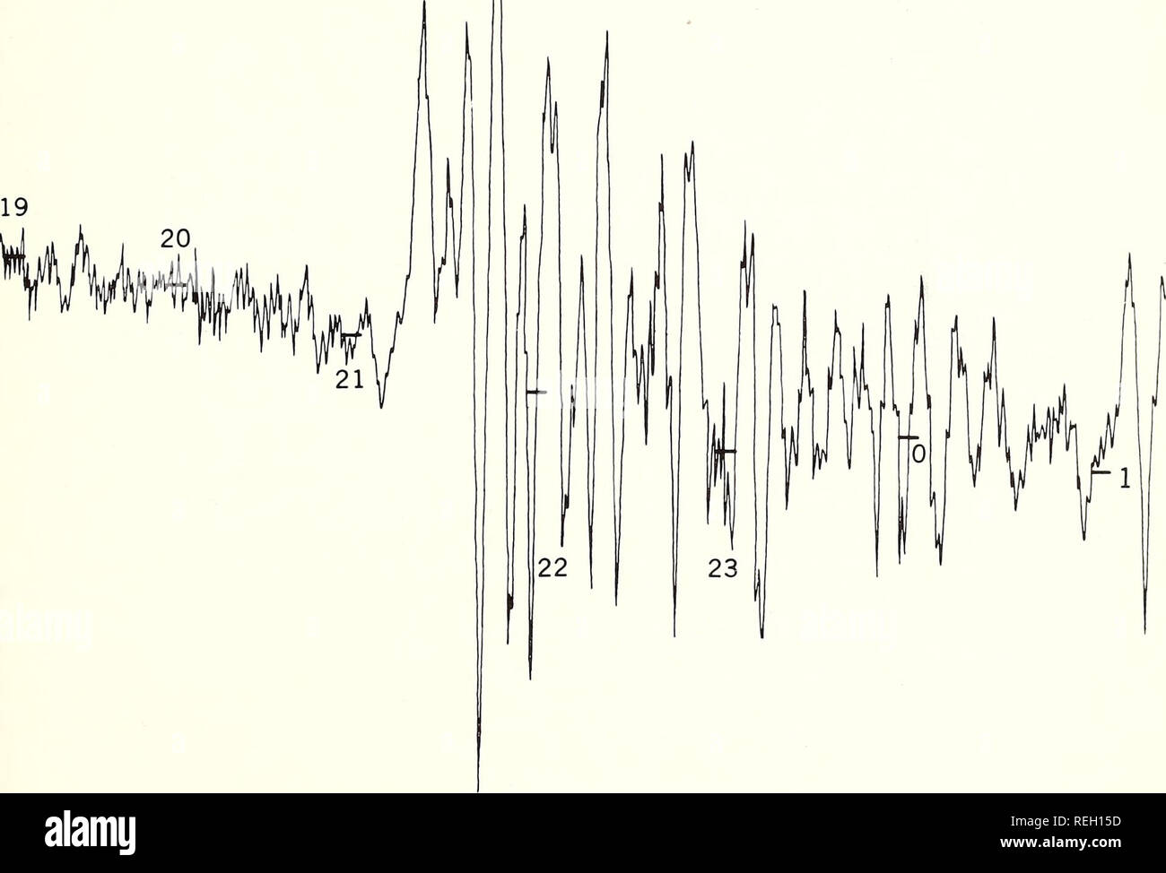 Kamchatka earthquake tsunami size