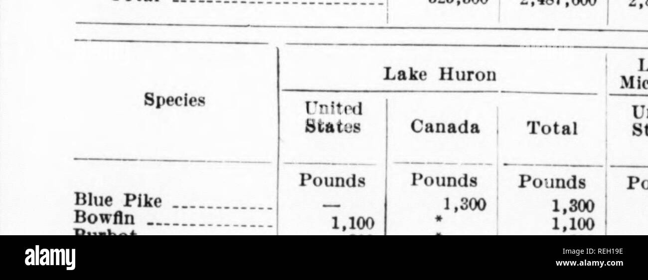 . Combined biennial report for the period ending 1942/1946. Pennsylvania Fish Commission; Fisheries; Fish culture. THE FOLLOWING STATISTICS SHOWING LAKE FISHERIES OF THE UNITED STATES AND CANADA ARE TAKEN FROM THE STATISTICAL DIGEST AS PREPARED BY THE FISH AND WILDLIFE SERVICE, UNITED STATES DEPARTMENT OF THE INTERIOR AND COVER THE YEAR 1942. NO STATISTICS ARt AVAILABLE SINCE THAT TIME, EXCEPT THOSE OF PENNSYLVANIA, WHICH WILL BE FOUND IN THIS REPORT. STATISTICAL DIGEST 11, FISH AND WILDLIFE SERVICE Lake Fisheries of the United States and Canada, 1942 CATCH: BY LAKES Species Lake Ontario Lake  Stock Photo