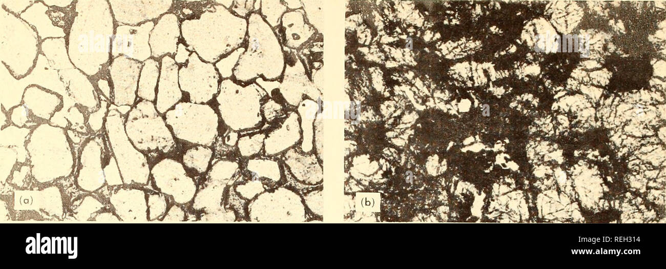 . Collected reprints, Essa Institute for Oceanography. Oceanography Periodicals.. 110 Astrobleme. Fig. 2. Photomicrographs, magnified about 40 times, of (a) normal unfractured Coconino sandstone and (b) its shock-fractured equivalent from Meteor (Barringer) Crater, Ariz. Rhombohedral sets of planar In addition, meteoritic spherules in silica glass, but not ponderable meteorites, are present. Criteria. The term cryptoexplosion structure pertains to a highly disturbed geological feature resulting from a natural explosion of uncertain cause. Such structures are fairly common, but only some of the Stock Photo
