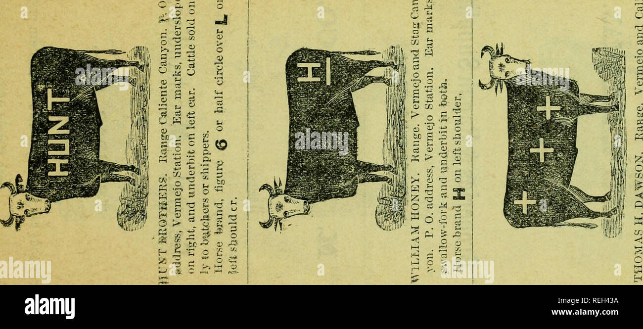 Colfax County New Mexico Brand Directory Cattle Brands R S O H 5 Quot O A K E Oj J Gt A 5 E Quot Mi G Ti C I 1q