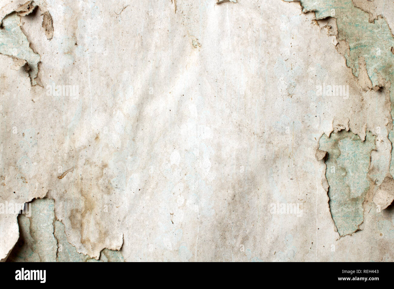Old dirty cracked paperhanging on wall texture Stock Photo