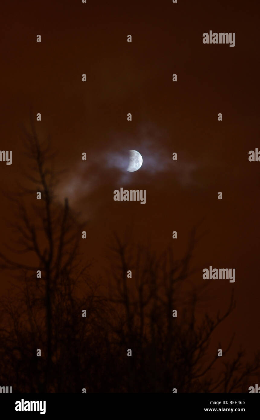 Moon eclipse in full moon. Super blue bloody moon over tree silhouette ...