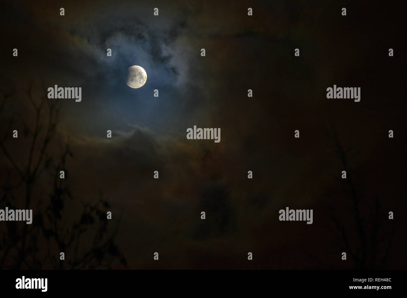 Moon eclipse in full moon. Super blue bloody moon over tree silhouette ...