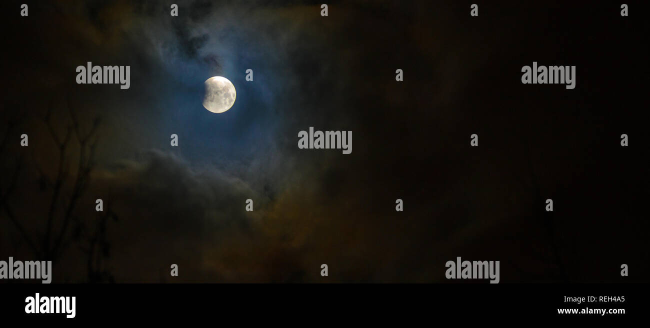 Moon eclipse in full moon. Super blue bloody moon over tree silhouette ...