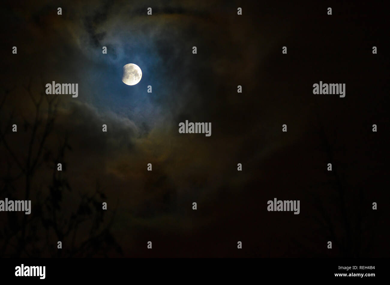 Moon eclipse in full moon. Super blue bloody moon over tree silhouette ...