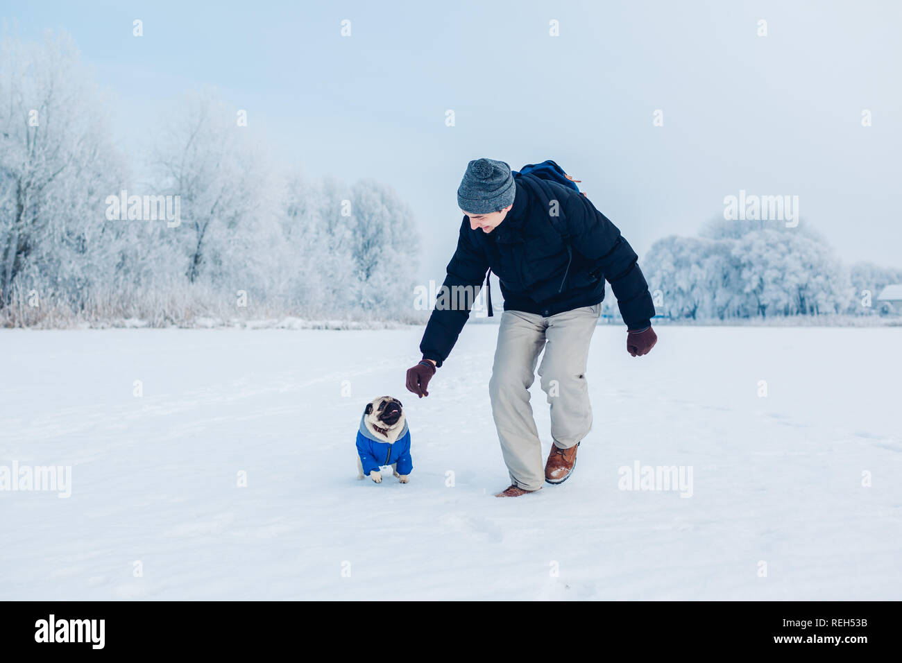 Running Snow Winter Puppy Stock Photos & Running Snow