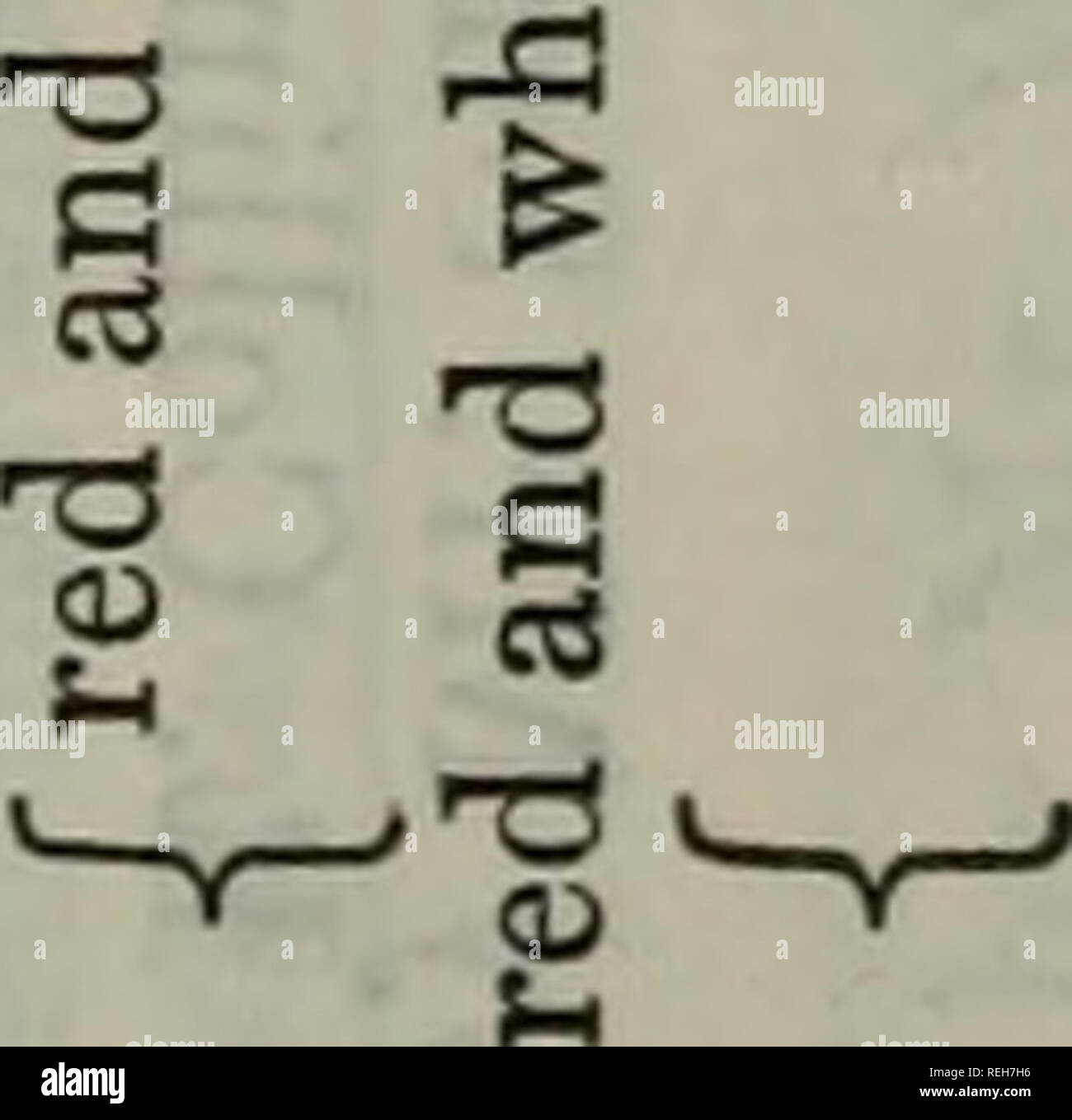 Page 7 My L D S M Th High Resolution Stock Photography And Images Alamy