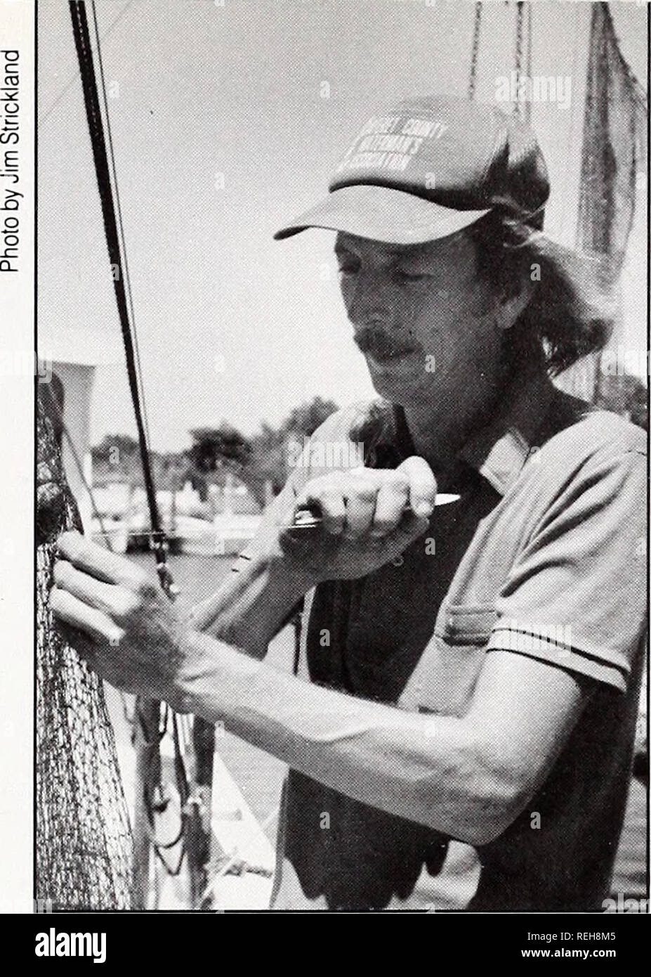 . Coast watch. Marine resources; Oceanography; Coastal zone management; Coastal ecology. populations, then a good shrimp season should be followed by poor catches of fall finfish, he concludes. But he says that's not the case. Carroll Yeomans of Vandemere concurs. After more than 32 years of shrimp- ing, Yeomans says bycatch is cyclical. &quot;Some years, you could hardly work for the bycatch,&quot; he says. &quot;The next year you wouldn't catch any.&quot; And Willis and Schill say bycatch shouldn't become a scapegoat for fish and shellfish declines. Factors such as poor water quality and hab Stock Photo