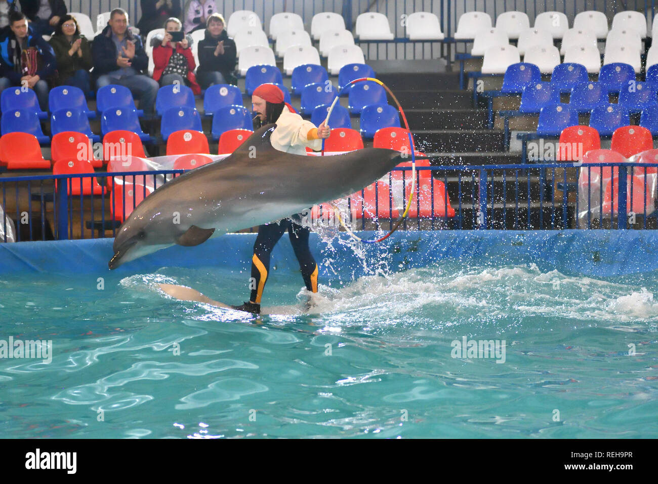 Bildnummer: 53660667 Datum: 11.12.2009 Copyright: imago/Xinhua (091211) --  QINGDAO, Dec. 11, 2009 (Xinhua) -- Dolphins practise hula-hoop at the Polar  Ocean World of Qingdao, east China s Shandong Province, on Dec. 11