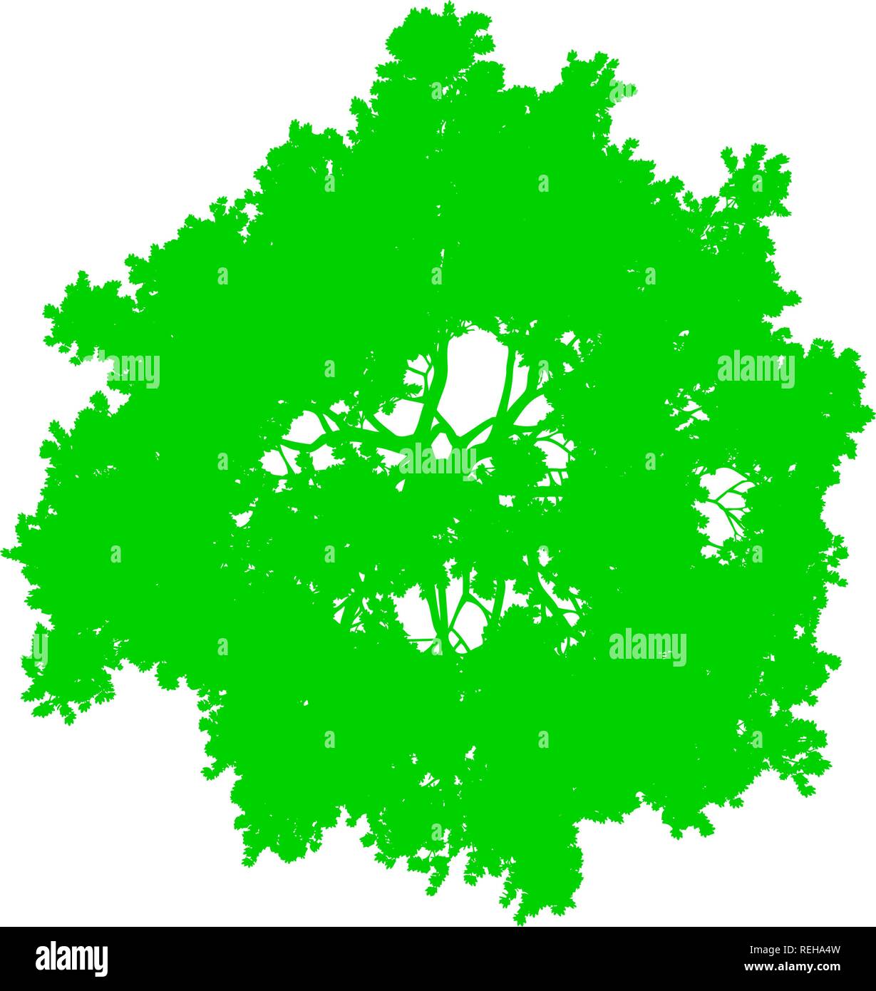 Tree top silhouette isolated - green simple detailed - vector illustration Stock Vector