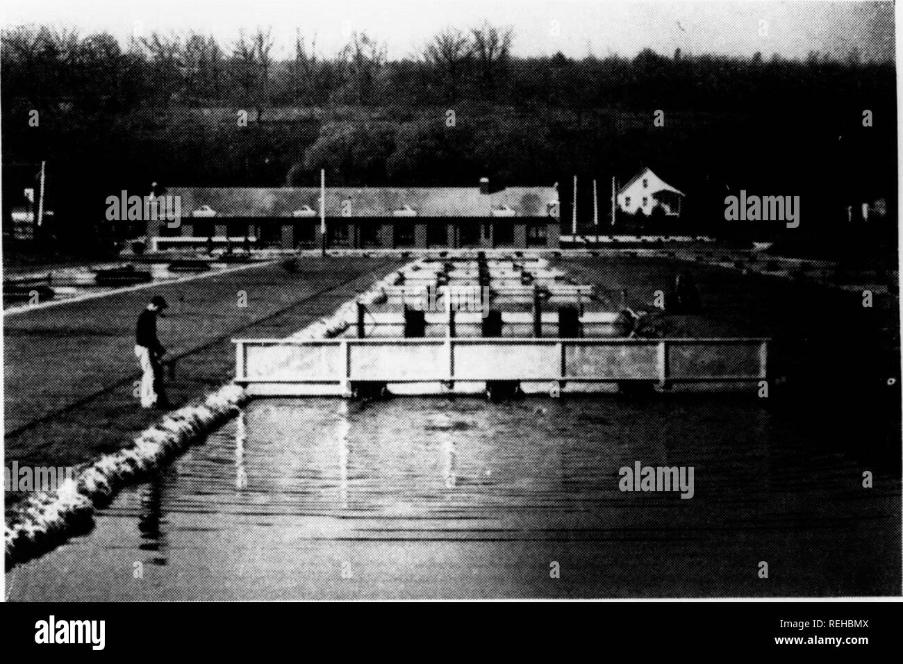 . Combined biennial report for the period ending 1942/1946. Pennsylvania Fish Commission; Fisheries; Fish culture. COMMONWEALTH OF PENNSYLVANIA BOARD OF FISH COMMISSIONERS Harrisburg to Fish Sf-ocked in the Waters of Pennsylvaniaâ1945 Approximate Species Size Brook, Brown and Rain- how Trout 7&quot; to 20&quot; Black BasÂ« l&quot;tol4&quot; Catfish 5&quot; to 13&quot; Bream 3&quot; to 8 Frogs &lt; Enihryo I Carp 10&quot; to 20&quot; Yellow Perch Adult Suckers 3&quot; to 5&quot; Minnows l^&quot;to 6&quot; Pickerel 7&quot; to 18&quot; Calico Bass 7&quot; to 11&quot; Pike Perch A&lt;lult Oolfliis Stock Photo