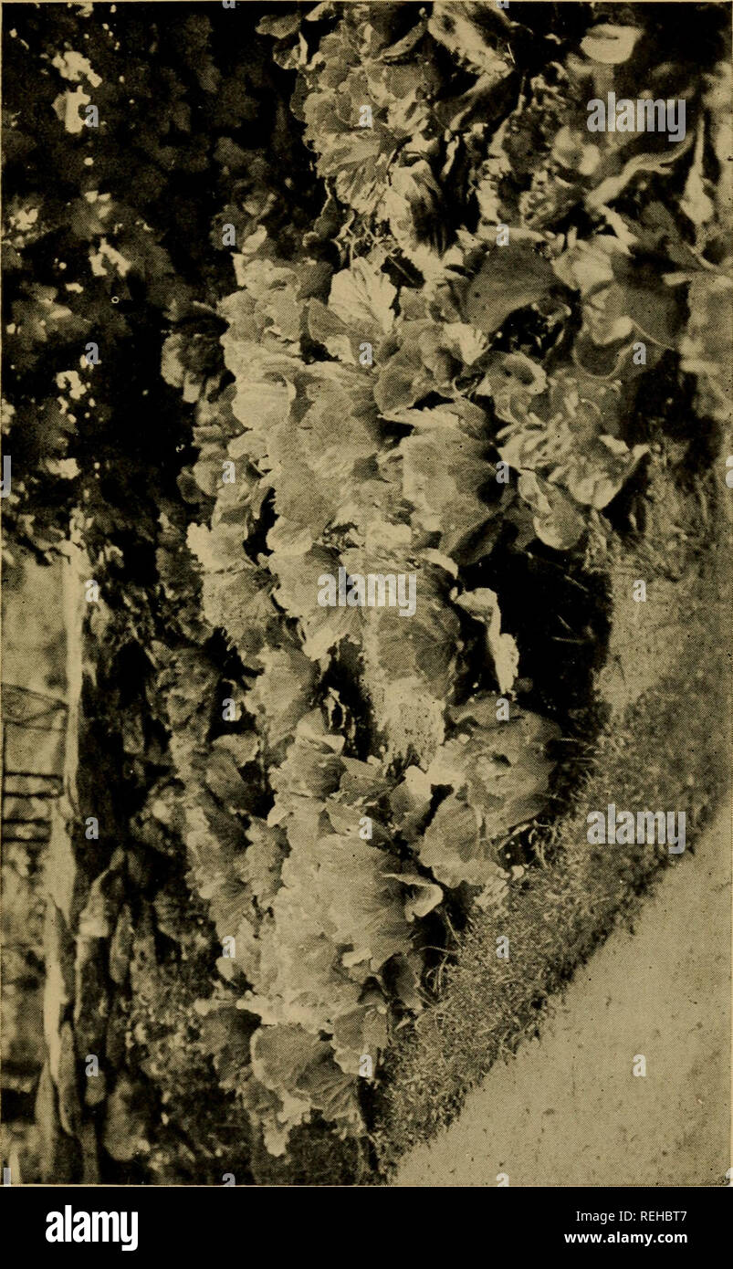 Page 8 X 8 03 High Resolution Stock Photography And Images Alamy
