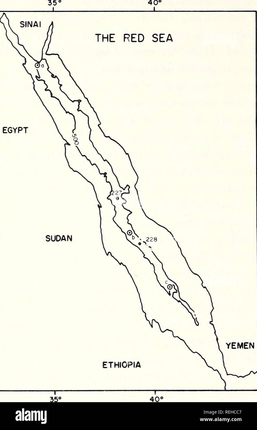 . Collected reprints / Atlantic Oceanographic and Meteorological Laboratories [and] Pacific Oceanographic Laboratories. Oceanography Periodicals.. 138 THE RED SEA EGYPT. SUDAN ETHIOPIA Fig. 3. Map of the Red Sea showing the location of three earth- quakes (a, b, and c) [5,13,14) for which fault plane solutions have been obtained, and the locations of two DSDP sites (227 and 228) where it has been suggested that lateral flow of evap- orites has occurred tending to smooth the boundaries of the axial trough [10]. However, since the amount of flowage is difficult to assess quantitatively, we shall Stock Photo