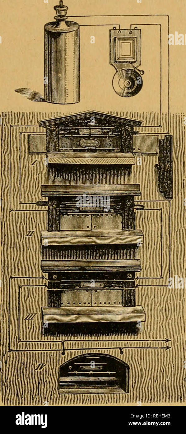 Dr Lampe S Bienenzucht Populares Handbuch Der Anatomie Zucht Pflege Und Samtlicher Krankheiten Der Bienen Sowie Ein